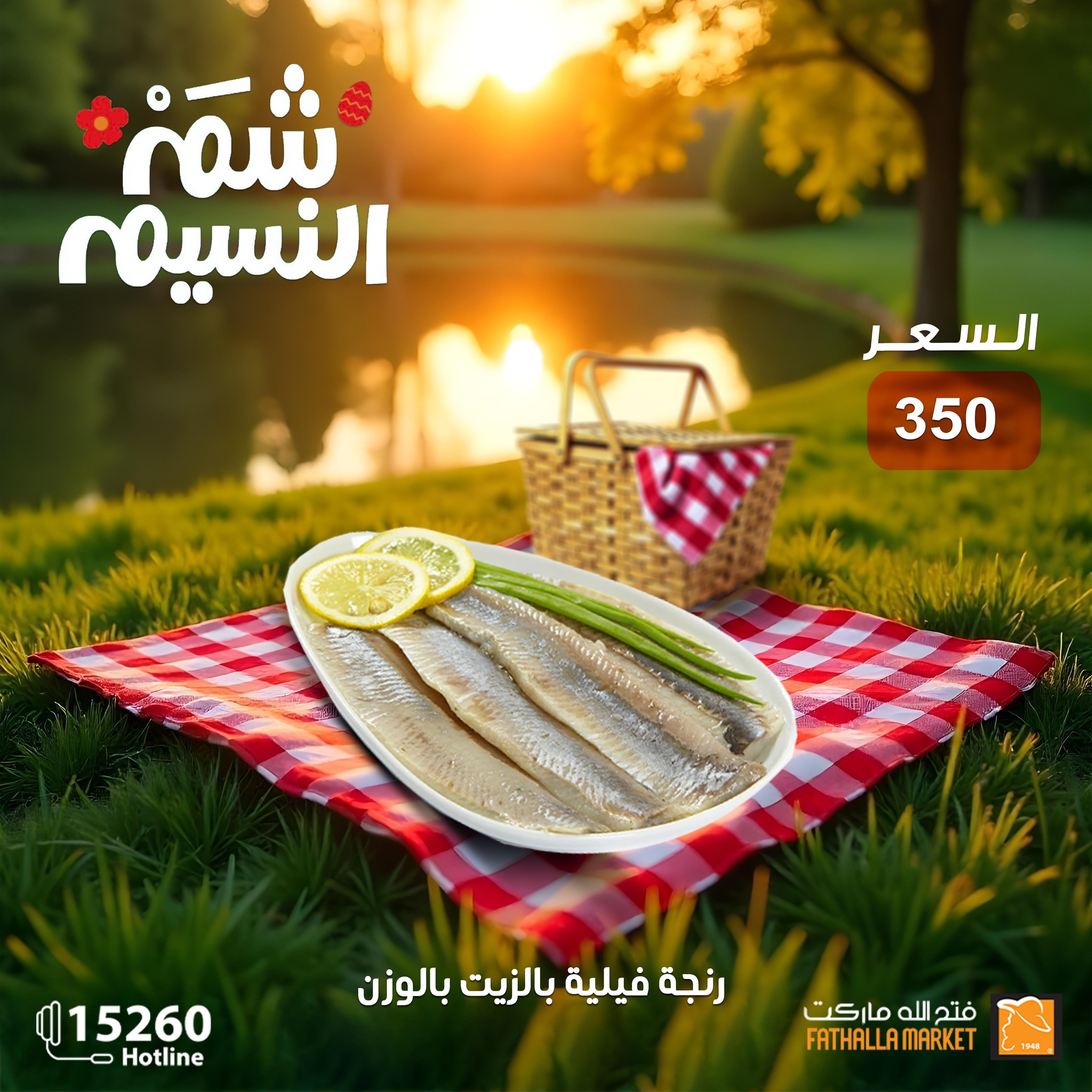 fathalla offers from 19apr to 16apr 2025 عروض فتح الله من 19 إبريل حتى 16 إبريل 2025 صفحة رقم 11